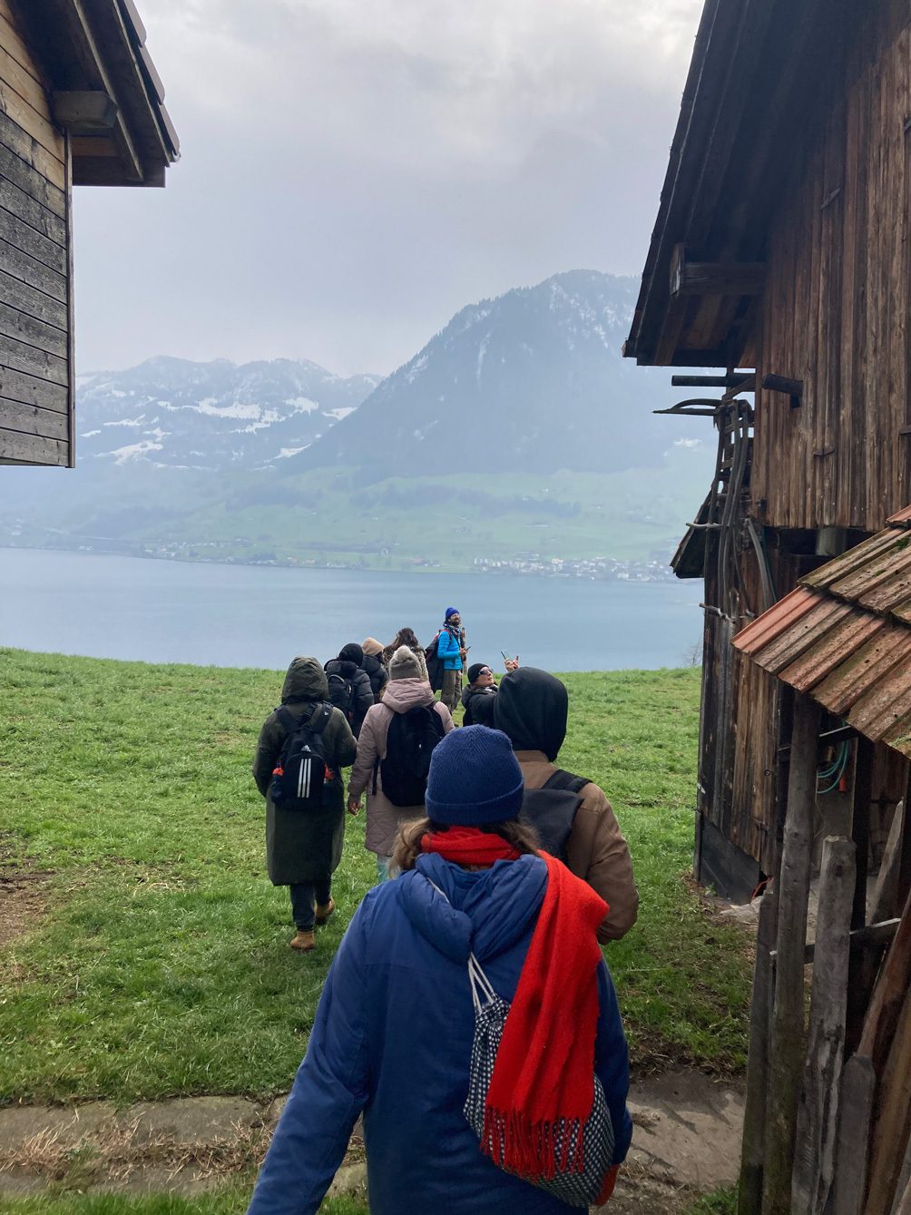 17 Brunco 8 F8 C18 F1 43 D3 4 E04 9 ED4 00 E8 A439 BE0 A