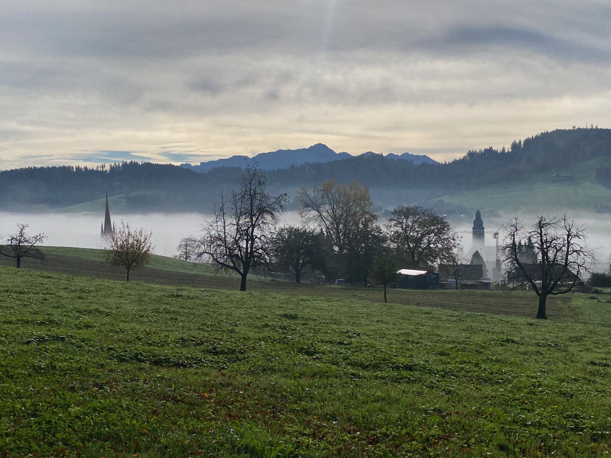 202410 Sharing Stories CH Olivia Jaques3 Kopie