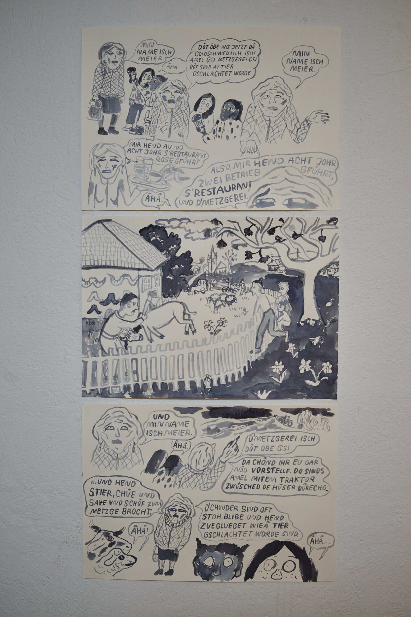 HST 3062 Hanes Sturzenegger