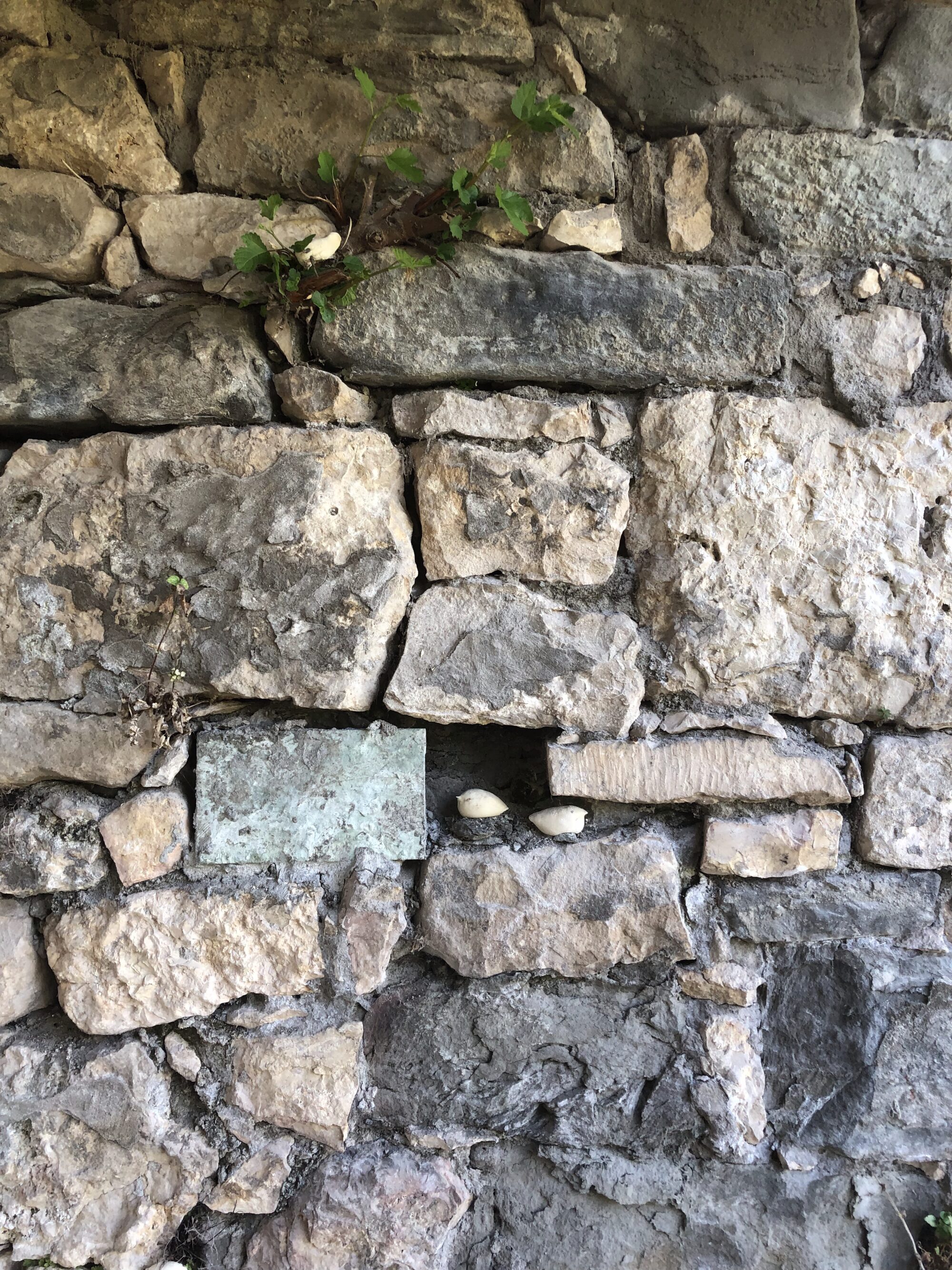 5 1 IMG 7518 Dagmar Reichert HEIC