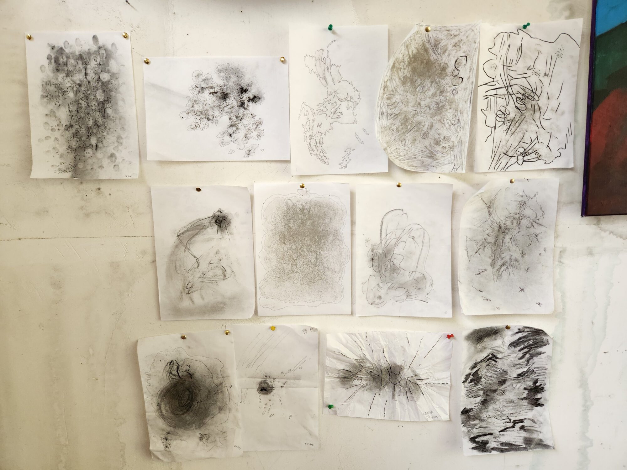 3 20240813 113227 Tamara Janashia